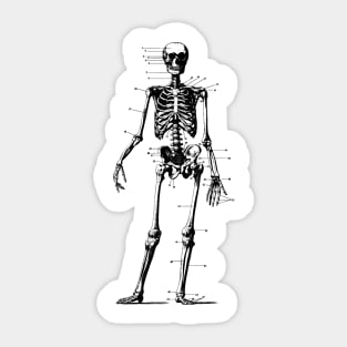 Medical Textbook Skeleton I Sticker